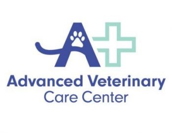 Protecting You & Your Pet During Covid-19