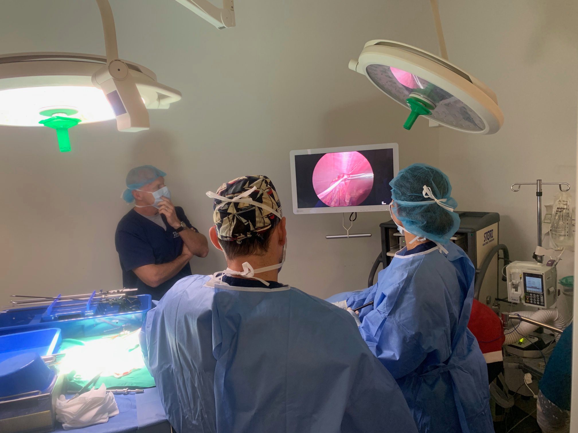 Advanced Veterinary Care Center Now Offers Minimally Invasive Surgery