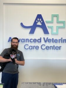 Veterinary Doctor holding dog